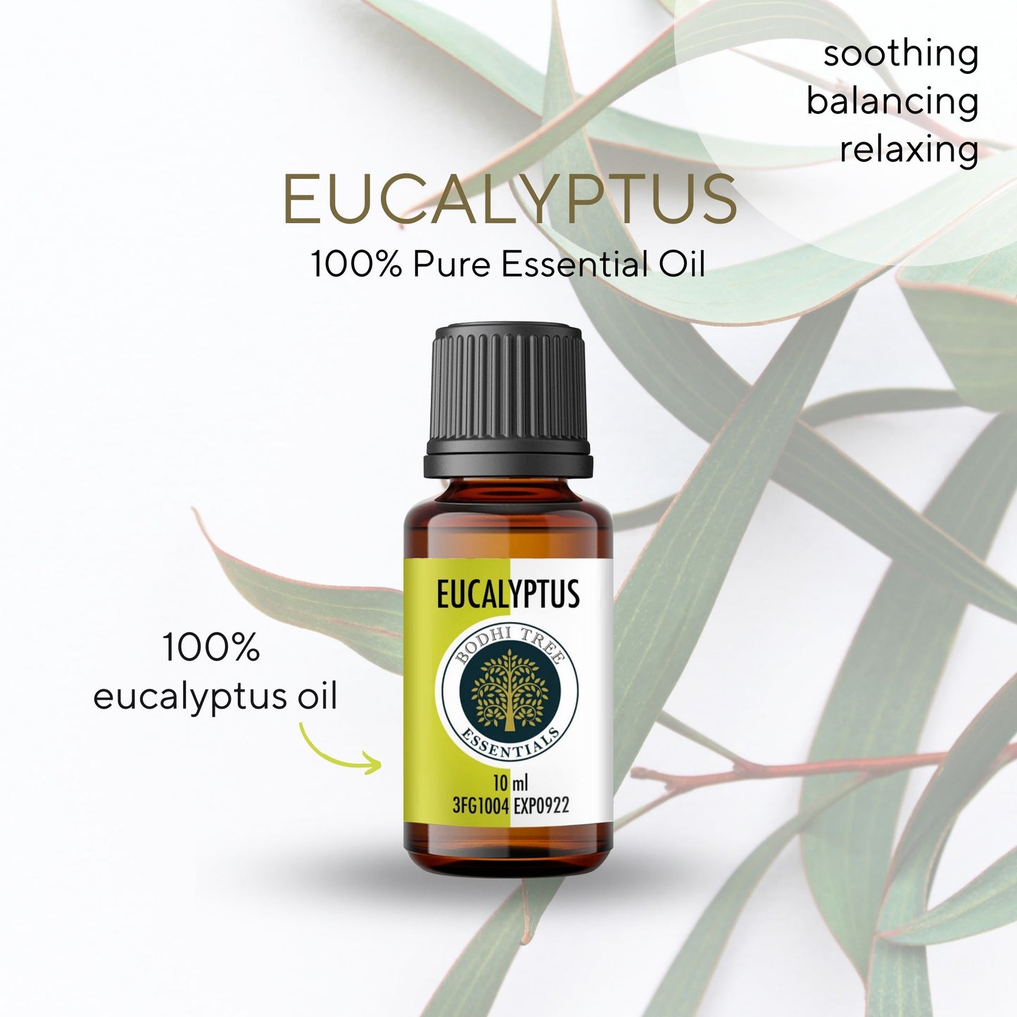 Bodhi Tree 100% Pure Essential oil - Eucalyptus
