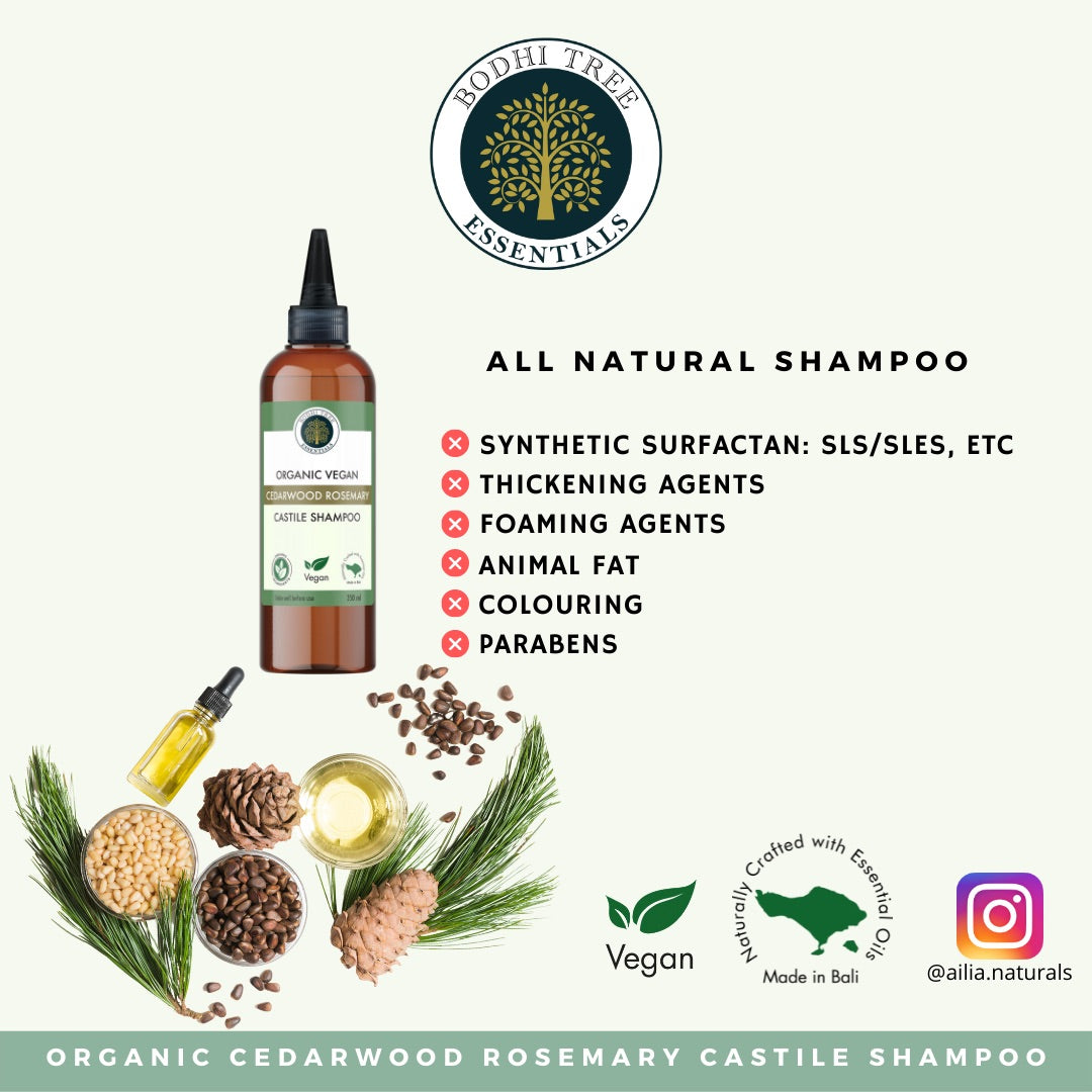 AROMATICA Best Shampoo Collection - Rosemary, Tea Tree, Quinoa - Food Grade  Botanical Ingredients - Plant-based Vegan Shampoo - Free from Sulfate,  Silicone, and Paraben 06 Best Shampoo Trial Set